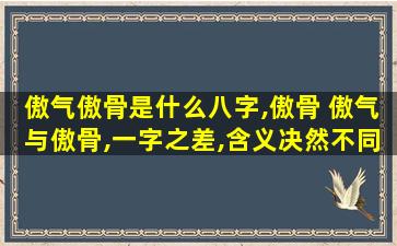 傲气傲骨是什么八字,傲骨 傲气与傲骨,一字之差,含义决然不同